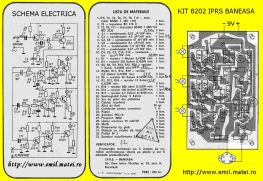 Click pentru marire Prezentare kit 8202 IPRS Baneasa - Miniorga de lumini